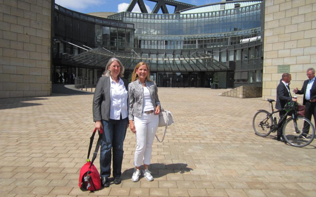 VIADUKT im Landtag